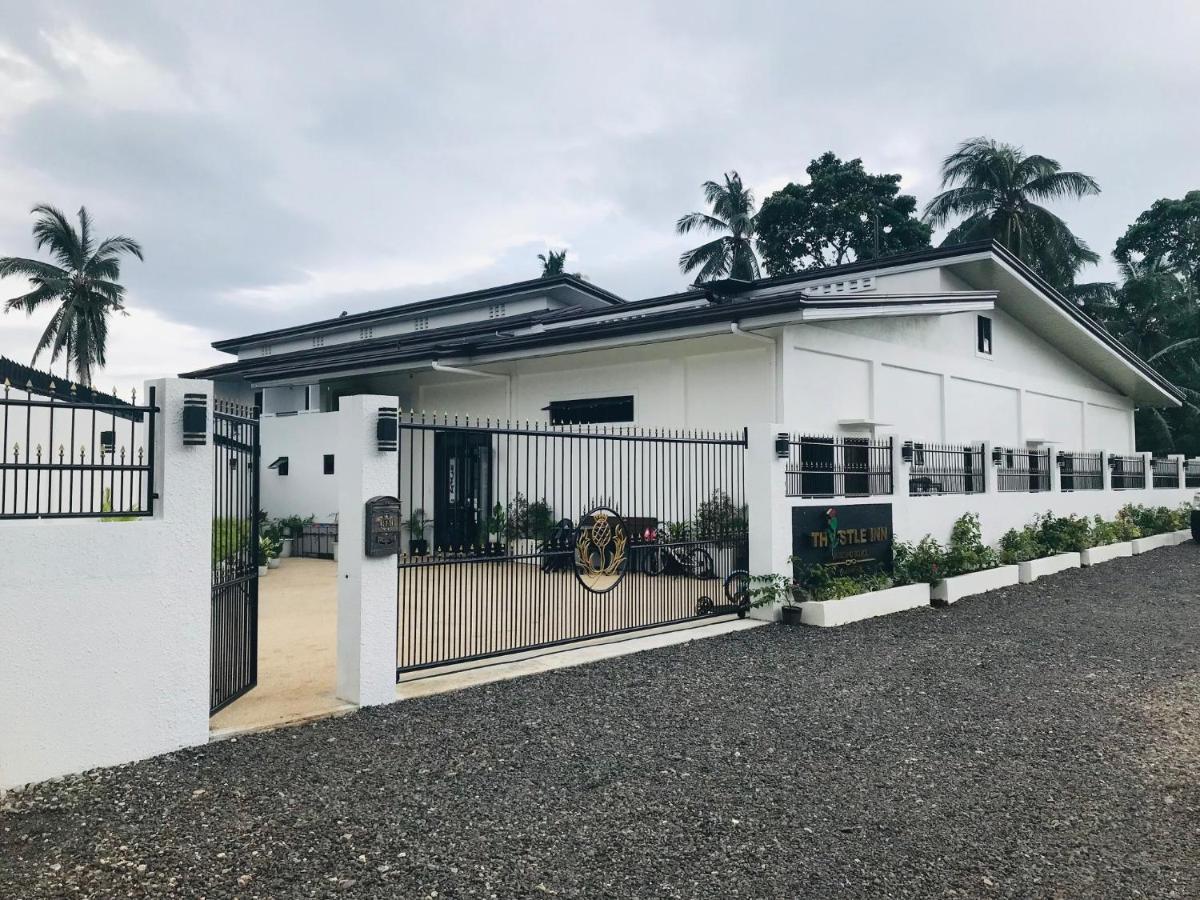 Thistle Inn Panglao Eksteriør bilde